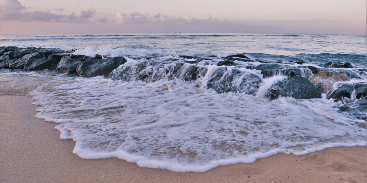 Tides, Texture, and Time: The Allure of Pamela Beach’s Coastal Aesthetic