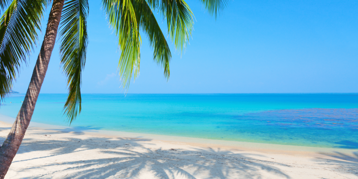Unpacking the Soul of Slow Living Through a Beachfront Lens