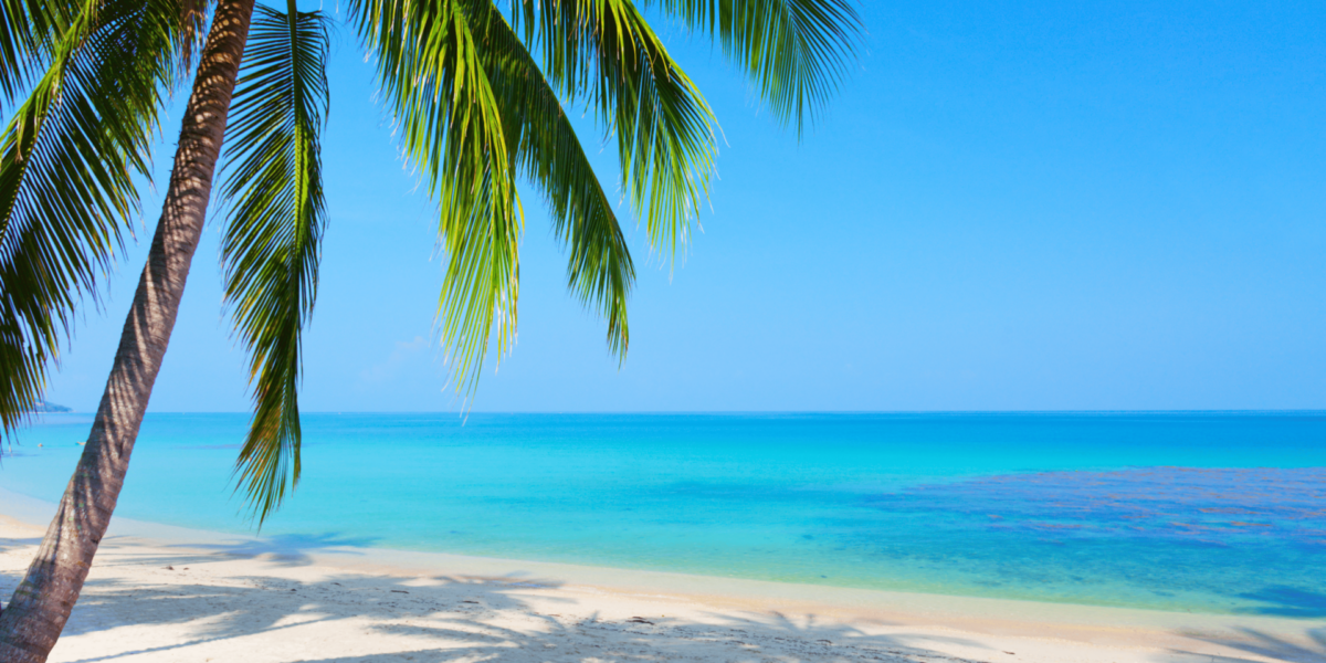 Anchored in Place: Why Pamela Beach Feels Like It’s Always Been Home