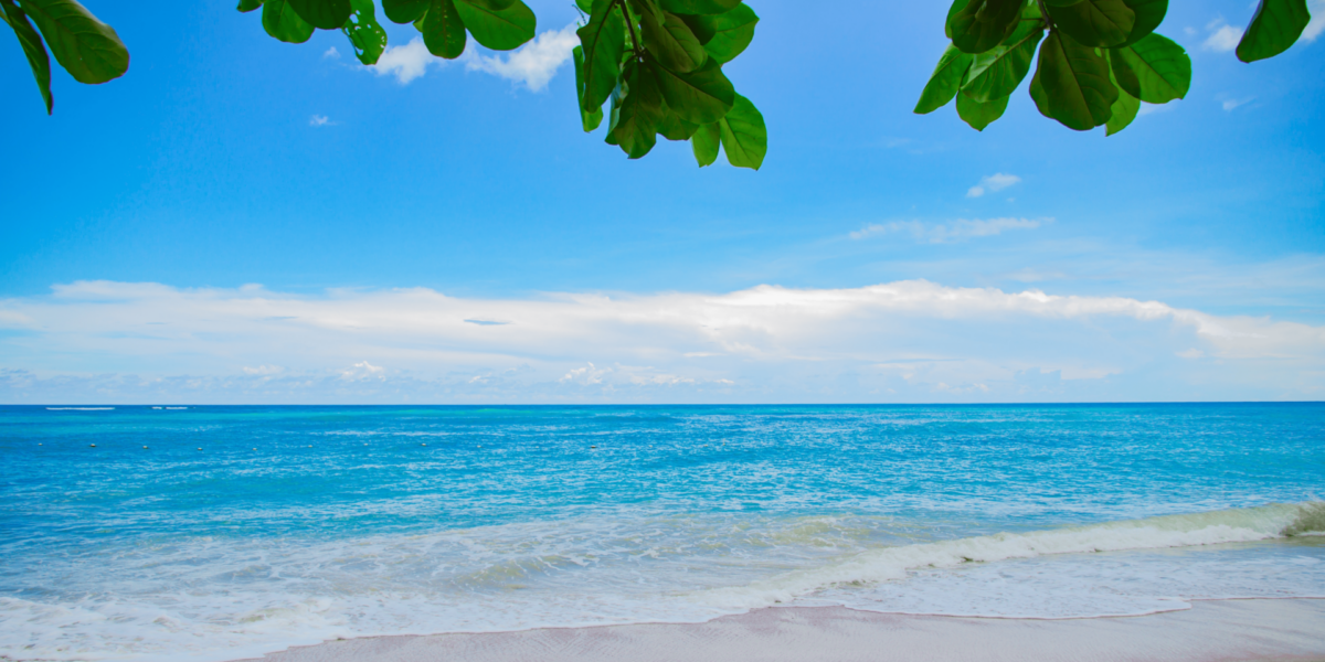 Designing Stillness: The Quiet Architecture of Pamela Beach