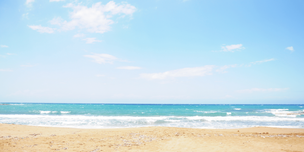 Tracing Saltwater Shadows Along the Shoreline of Pamela Beach