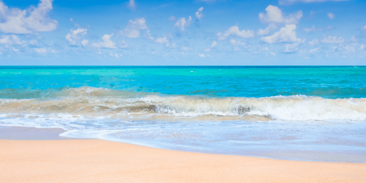 When Wind Shapes the Dunes: A Study in Coastal Movement