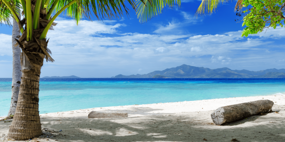 Driftwood Stories: What the Ocean Leaves Behind