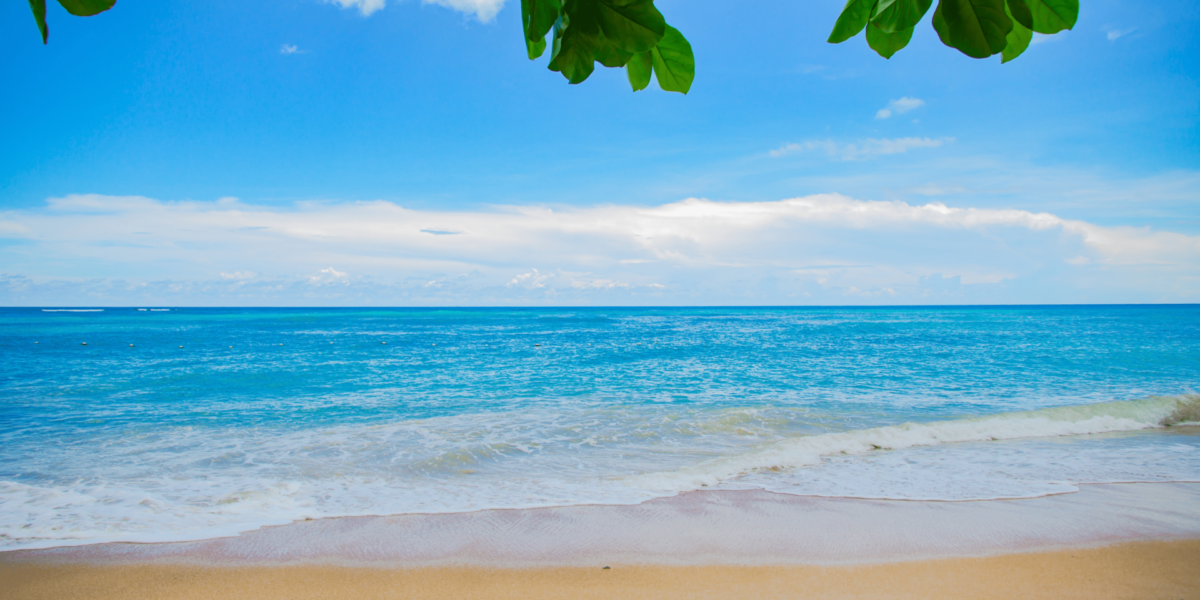 Beneath the Tides: Reading the Language of the Low Shore